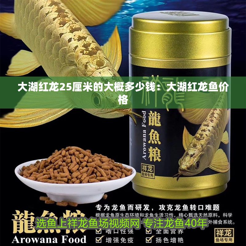 大湖紅龍25厘米的大概多少錢：大湖紅龍魚價格