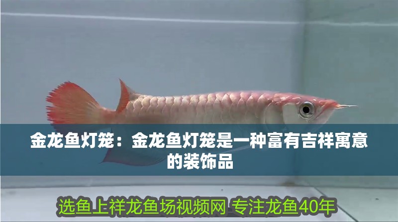 金龍魚燈籠：金龍魚燈籠是一種富有吉祥寓意的裝飾品