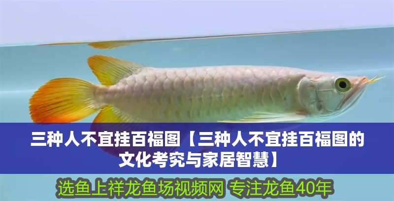 三種人不宜掛百福圖【三種人不宜掛百福圖的文化考究與家居智慧】