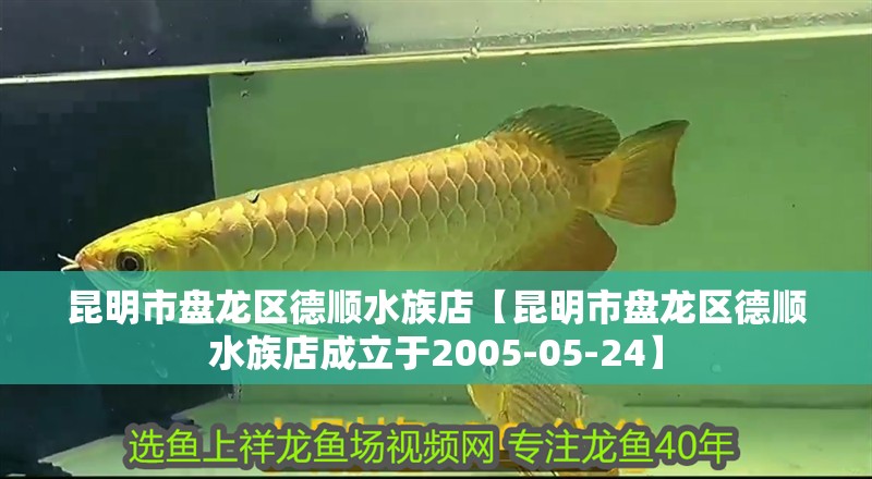 昆明市盤龍區德順水族店【昆明市盤龍區德順水族店成立于2005-05-24】