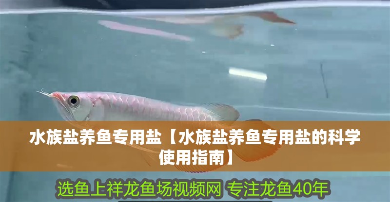 水族鹽養魚專用鹽【水族鹽養魚專用鹽的科學使用指南】