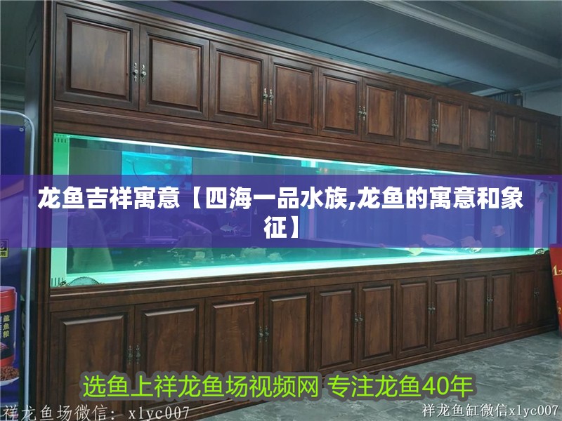 龍魚吉祥寓意【四海一品水族,龍魚的寓意和象征】 龍魚吉祥寓意【四海一品水族,龍魚的寓意和象征】 龍魚論壇