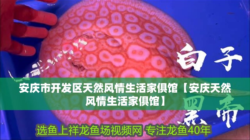 安慶市開發區天然風情生活家俱館【安慶天然風情生活家俱館】