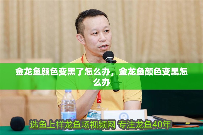 金龍魚顏色變黑了怎么辦，金龍魚顏色變黑怎么辦