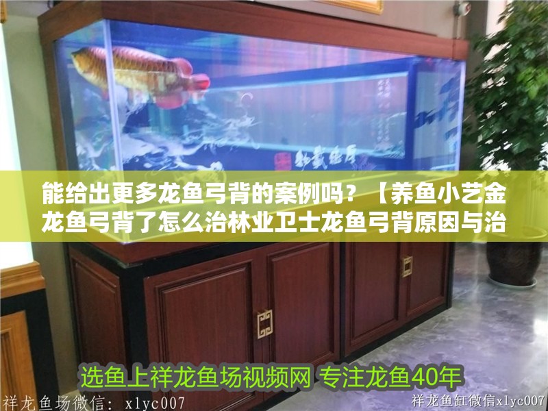 能給出更多龍魚弓背的案例嗎？【養魚小藝金龍魚弓背了怎么治林業衛士龍魚弓背原因與治療方法解析】 能給出更多龍魚弓背的案例嗎？【養魚小藝金龍魚弓背了怎么治林業衛士龍魚弓背原因與治療方法解析】 龍魚論壇