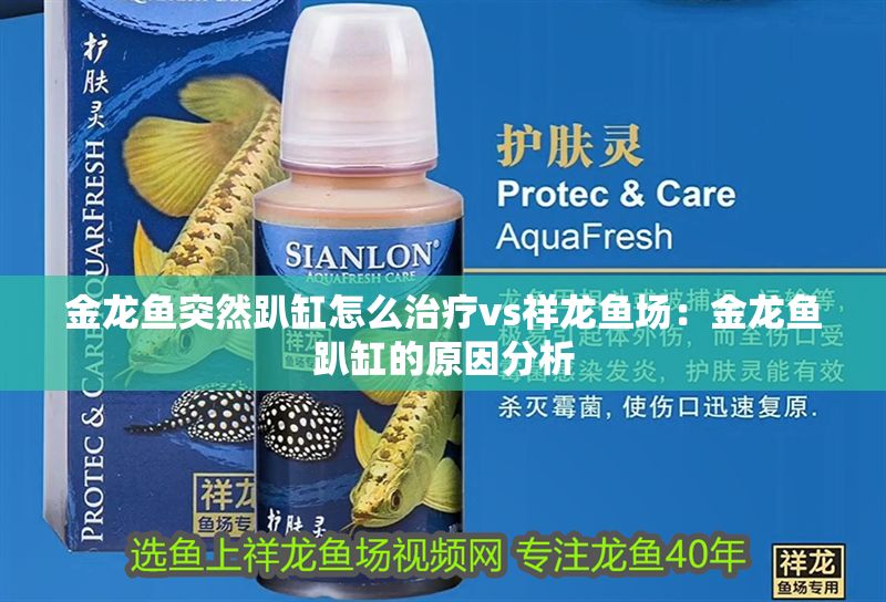 金龍魚突然趴缸怎么治療vs祥龍魚場：金龍魚趴缸的原因分析 金龍魚突然趴缸怎么治療vs祥龍魚場：金龍魚趴缸的原因分析 vs祥龍魚場 第1張