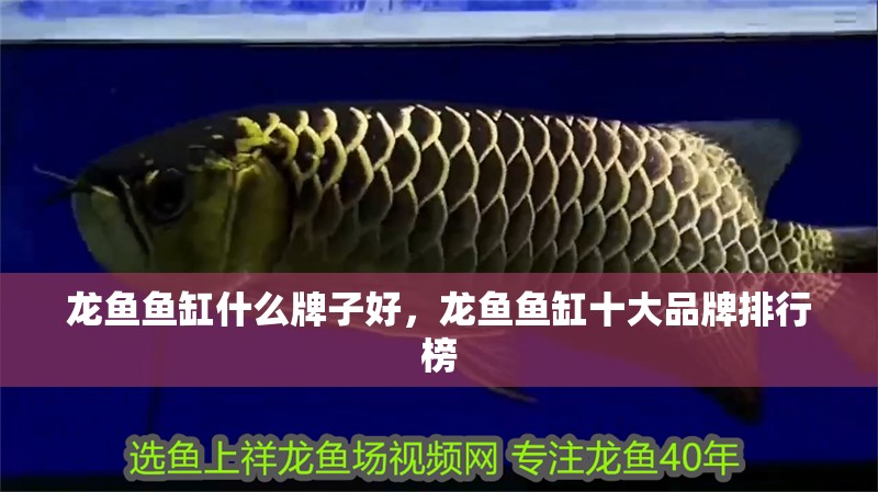 龍魚魚缸什么牌子好，龍魚魚缸十大品牌排行榜