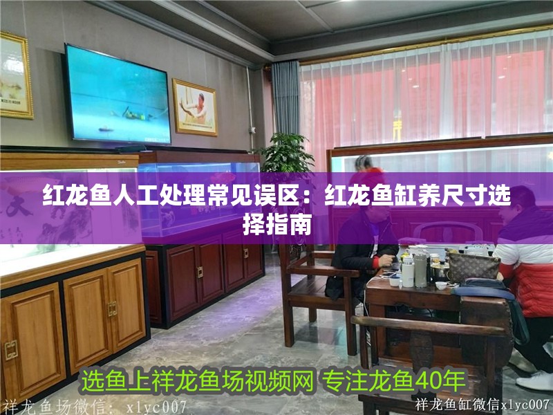 紅龍魚人工處理常見誤區：紅龍魚缸養尺寸選擇指南