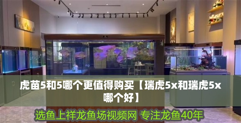 虎苗5和5哪個更值得購買【瑞虎5x和瑞虎5x哪個好】