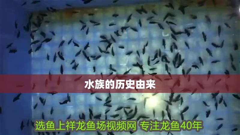 水族的歷史由來 水族的歷史由來 龍魚論壇