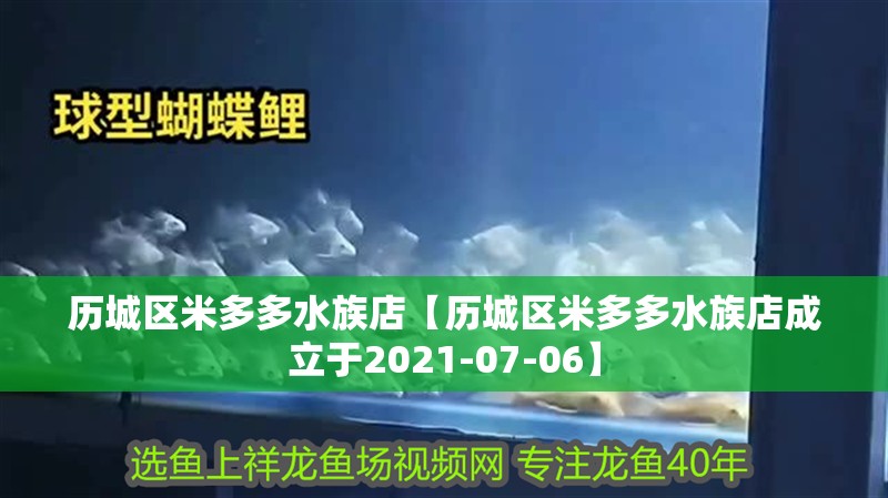 歷城區米多多水族店【歷城區米多多水族店成立于2021-07-06】