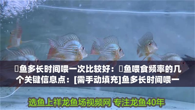 魟魚多長時間喂一次比較好：魟魚喂食頻率的幾個關鍵信息點：[需手動填充]魚多長時間喂一次比較好