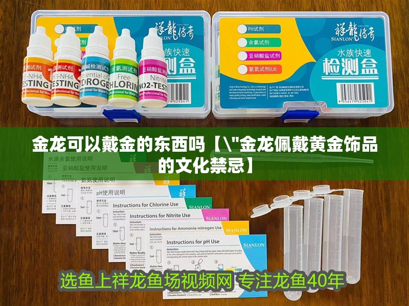 金龍可以戴金的東西嗎【\