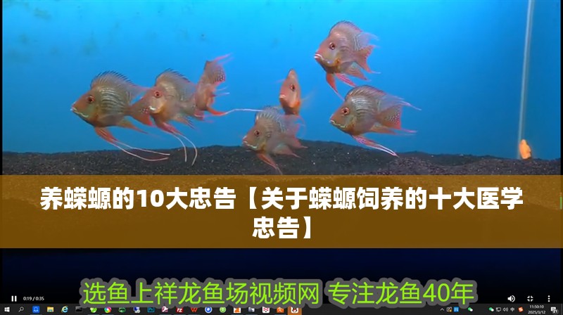 養蠑螈的10大忠告【關于蠑螈飼養的十大醫學忠告】 養蠑螈的10大忠告【關于蠑螈飼養的十大醫學忠告】 龍魚論壇