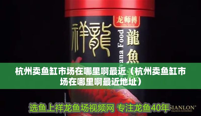 杭州賣魚缸市場在哪里啊最近（杭州賣魚缸市場在哪里啊最近地址） 杭州賣魚缸市場在哪里啊最近（杭州賣魚缸市場在哪里啊最近地址） 元寶鳳凰魚百科 第1張