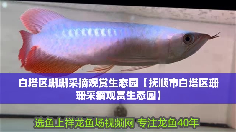 白塔區珊珊采摘觀賞生態園【撫順市白塔區珊珊采摘觀賞生態園】