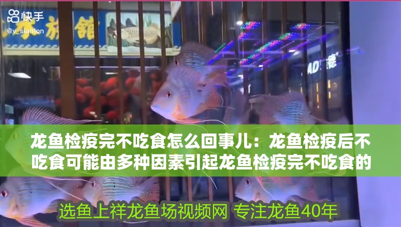 龍魚檢疫完不吃食怎么回事兒：龍魚檢疫后不吃食可能由多種因素引起龍魚檢疫完不吃食的原因