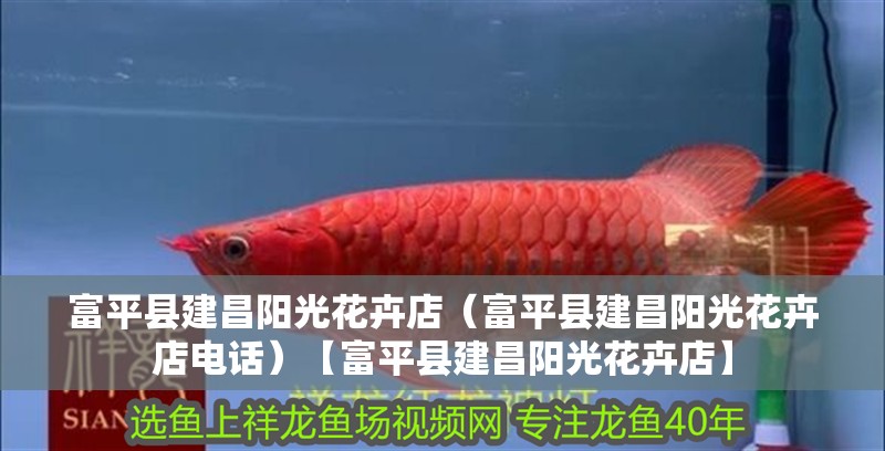 富平縣<strong><mark>建昌</mark></strong>陽光花卉店（富平縣<strong><mark>建昌</mark></strong>陽光花卉店電話）【富平縣<strong><mark>建昌</mark></strong>陽光花卉店】