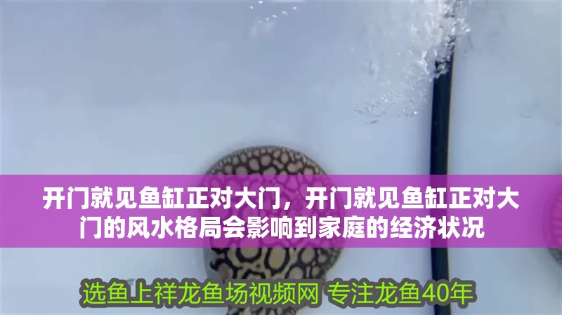 我的虎魚真菌感染了要怎么處理 開門就見魚缸正對(duì)大門,開門就見魚缸正對(duì)大門的風(fēng)水格局會(huì)影響到家庭的經(jīng)濟(jì)狀況 龍魚百科 開門就見魚缸正對(duì)大門,開門就見魚缸正對(duì)大門的風(fēng)水格局會(huì)影響到家庭的經(jīng)濟(jì)狀況 開門就見魚缸正對(duì)大門,開門就見魚缸正對(duì)大門的風(fēng)水格局會(huì)影響到家庭的經(jīng)濟(jì)狀況 龍魚百科