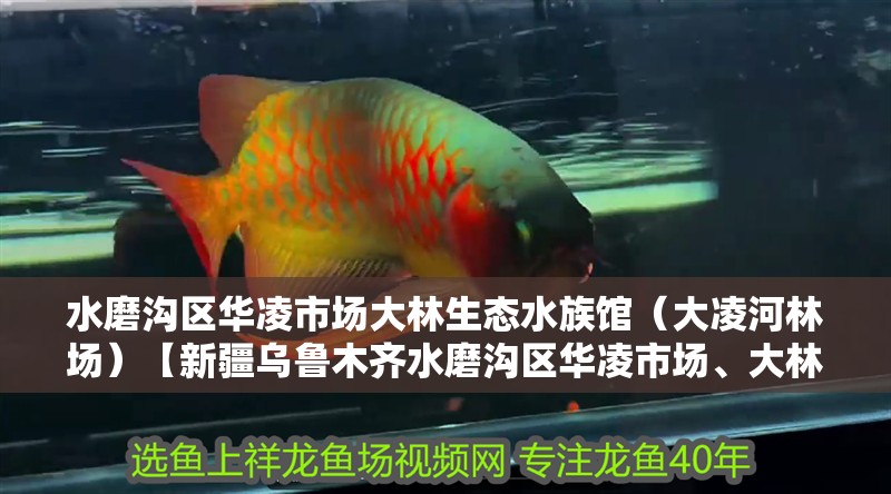 水磨溝區(qū)華凌市場大林生態(tài)水族館（大<strong><mark>凌河</mark></strong>林場）【新疆烏魯木齊水磨溝區(qū)華凌市場、大林生態(tài)水族館及大<strong><mark>凌河</mark></strong>林場】