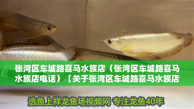 張灣區車城路喜馬水族店（張灣區車城路喜馬水族店電話）【關于張灣區車城路喜馬水族店的一些常見問題】