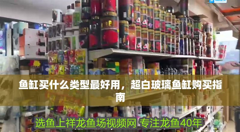魚缸買什么類型最好用，超白玻璃魚缸購買指南