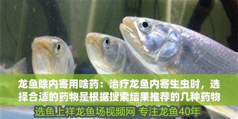 龍魚除內寄用啥藥：治療龍魚內寄生蟲時，選擇合適的藥物是根據搜索結果推薦的幾種藥物