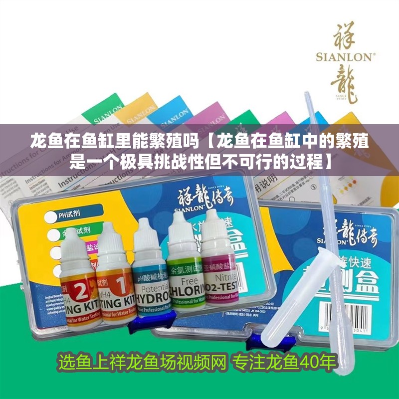 龍魚在魚缸里能繁殖嗎【龍魚在魚缸中的繁殖是一個極具挑戰性但不可行的過程】