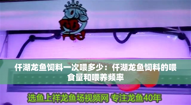 仟湖龍魚飼料一次喂多少：仟湖龍魚飼料的喂食量和喂養(yǎng)頻率