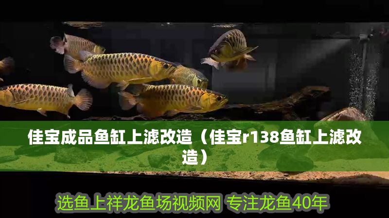 佳寶成品魚缸上濾改造（佳寶r138魚缸上濾改造） 佳寶成品魚缸上濾改造（佳寶r138魚缸上濾改造） 紅龍魚百科 第1張