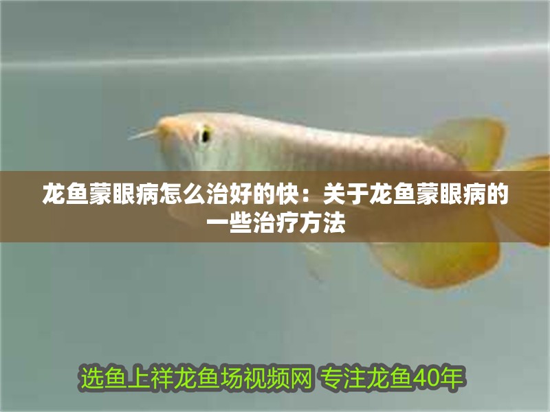 龍魚蒙眼病怎么治好的快：關于龍魚蒙眼病的一些治療方法