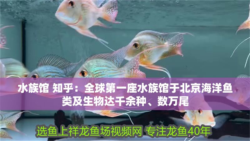 水族館 知乎：全球第一座水族館于北京海洋魚類及生物達千余種、數(shù)萬尾
