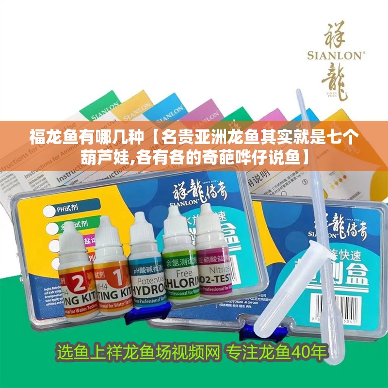福龍魚(yú)有哪幾種【名貴亞洲龍魚(yú)其實(shí)就是七個(gè)葫蘆娃,各有各的奇葩嘩仔說(shuō)魚(yú)】