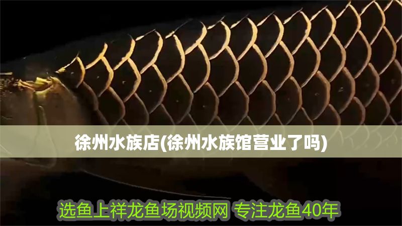 徐州水族店(徐州水族館營(yíng)業(yè)了嗎) 錦鯉魚百科 第1張 徐州水族店(徐州水族館營(yíng)業(yè)了嗎) 徐州水族店(徐州水族館營(yíng)業(yè)了嗎) 錦鯉魚百科 第1張