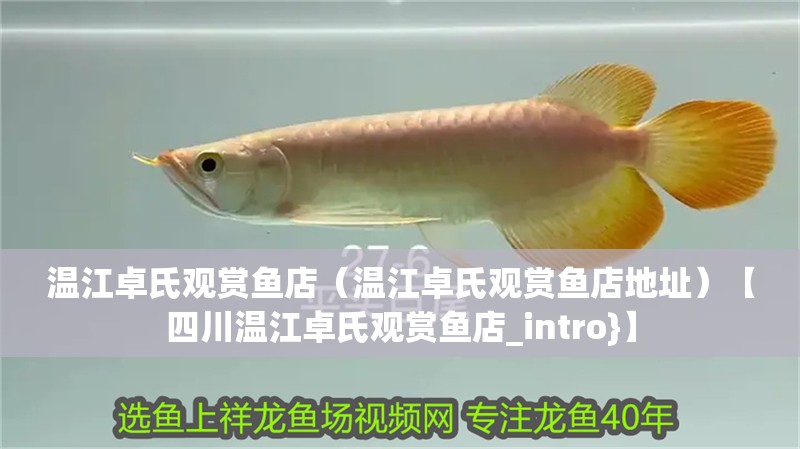 溫江卓氏觀賞魚店（溫江卓氏觀賞魚店地址）【四川溫江卓氏觀賞魚店_intro}】