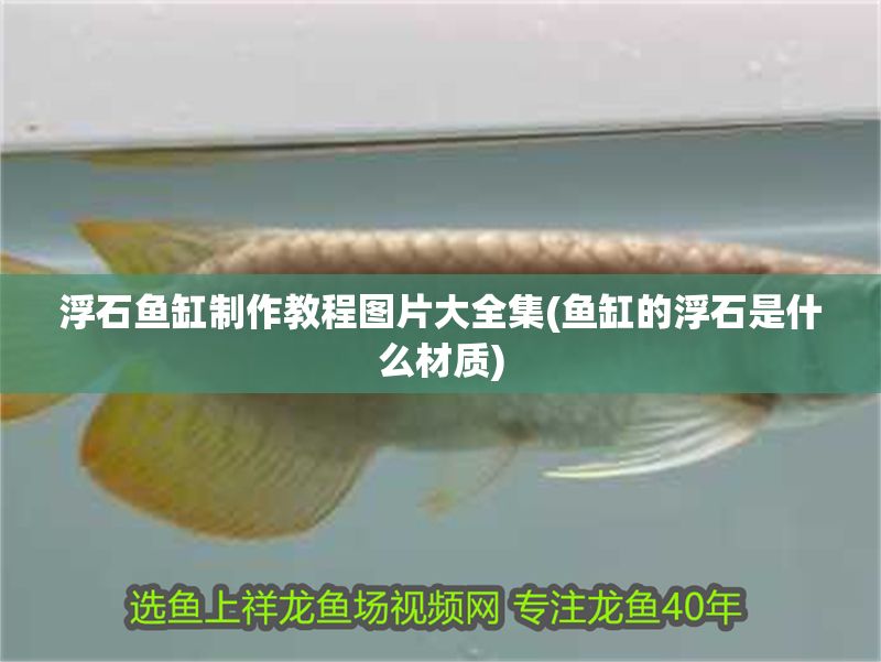 浮石魚缸制作教程圖片大全集(魚缸的浮石是什么材質(zhì))