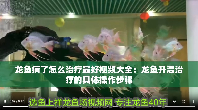 龍魚病了怎么治療最好視頻大全：龍魚升溫治療的具體操作步驟 龍魚病了怎么治療最好視頻大全：龍魚升溫治療的具體操作步驟 龍魚百科
