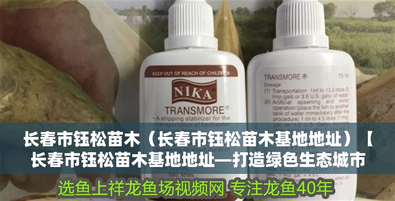 我的虎魚真菌感染了要怎么處理 長春市鈺松苗木(長春市鈺松苗木基地地址)【長春市鈺松苗木基地地址—打造綠色生態城市】 全國水族館企業名錄 長春市鈺松苗木(長春市鈺松苗木基地地址)【長春市鈺松苗木基地地址—打造綠色生態城市】 長春市鈺松苗木(長春市鈺松苗木基地地址)【長春市鈺松苗木基地地址—打造綠色生態城市】 全國水族館企業名錄