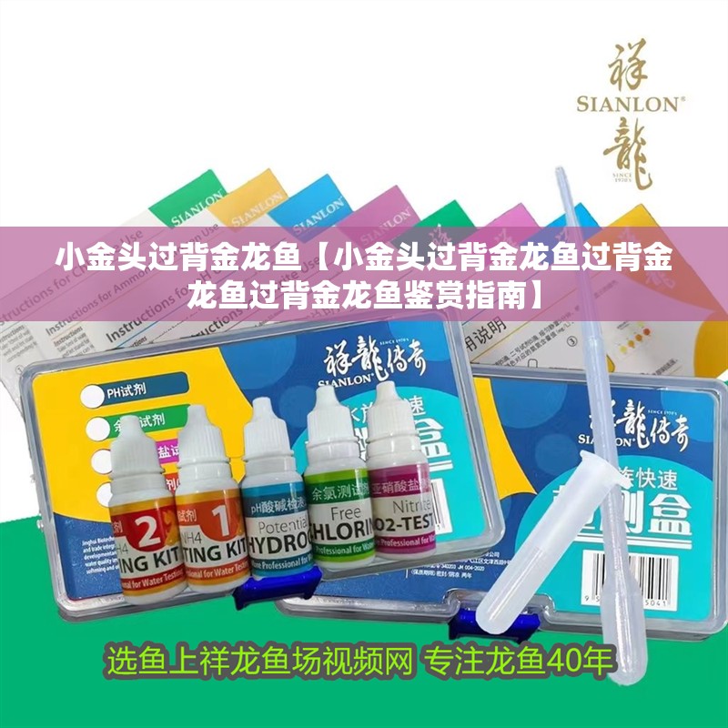 魚缸用增氧泵價格是多少:魚缸增氧機-xtrac增氧機-xtrac增氧機 小金頭過背金龍魚【小金頭過背金龍魚過背金龍魚過背金龍魚鑒賞指南】 龍魚論壇 小金頭過背金龍魚【小金頭過背金龍魚過背金龍魚過背金龍魚鑒賞指南】 小金頭過背金龍魚【小金頭過背金龍魚過背金龍魚過背金龍魚鑒賞指南】 龍魚論壇