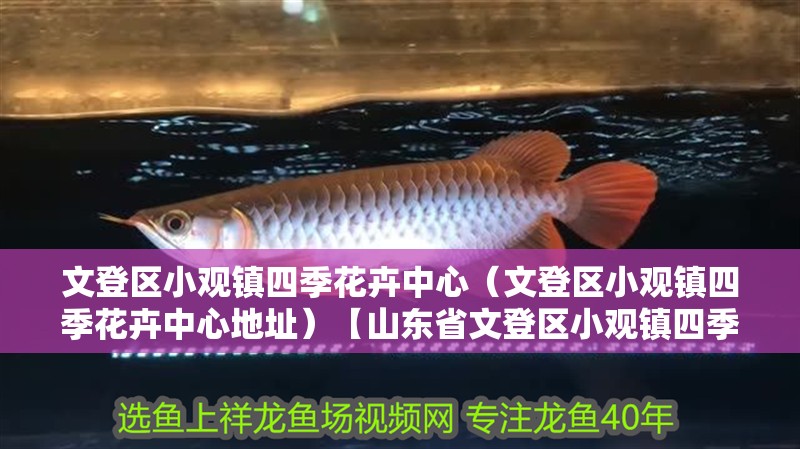 文登區小觀鎮四季花卉中心（文登區小觀鎮四季花卉中心地址）【山東省文登區小觀鎮四季花卉中心，享受大自然的美麗】