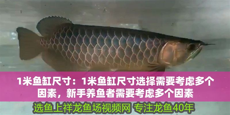 1米魚缸尺寸：1米魚缸尺寸選擇需要考慮多個因素，新手養(yǎng)魚者需要考慮多個因素