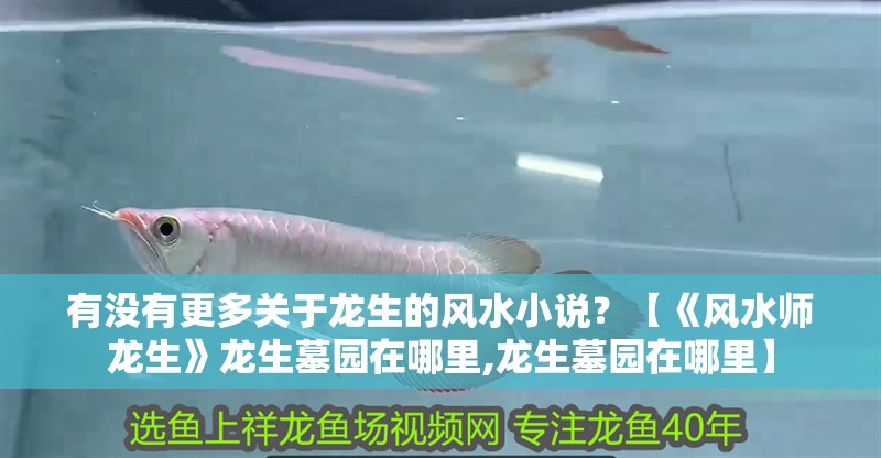 有沒有更多關于龍生的風水小說？【《風水師龍生》龍生墓園在哪里,龍生墓園在哪里】