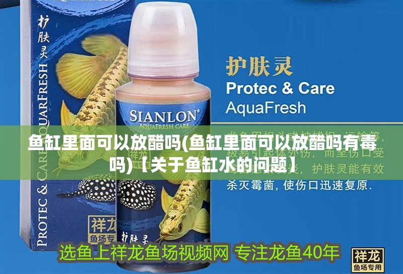 魚(yú)缸里面可以放醋嗎(魚(yú)缸里面可以放醋嗎有毒嗎)【關(guān)于魚(yú)缸水的問(wèn)題】