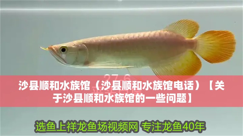 沙縣順和水族館（沙縣順和水族館電話）【關于沙縣順和水族館的一些問題】 沙縣順和水族館（沙縣順和水族館電話）【關于沙縣順和水族館的一些問題】 全國水族館企業名錄