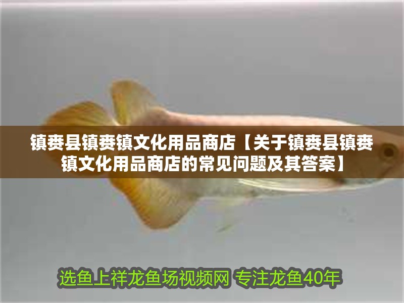 鎮(zhèn)賚縣鎮(zhèn)賚鎮(zhèn)文化用品商店【關(guān)于鎮(zhèn)賚縣鎮(zhèn)賚鎮(zhèn)文化用品商店的常見問題及其答案】