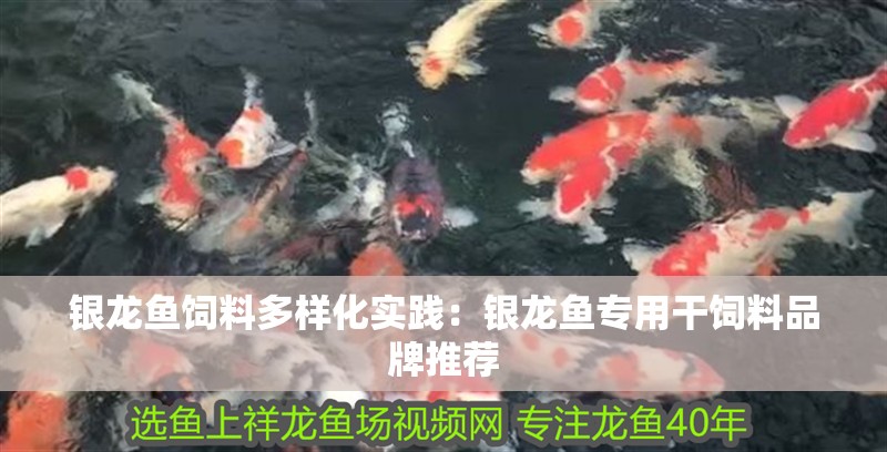 魚缸用增氧泵價格是多少:魚缸增氧機-xtrac增氧機-xtrac增氧機 銀龍魚飼料多樣化實踐:銀龍魚專用干飼料品牌推薦 龍魚百科 銀龍魚飼料多樣化實踐:銀龍魚專用干飼料品牌推薦 銀龍魚飼料多樣化實踐:銀龍魚專用干飼料品牌推薦 龍魚百科