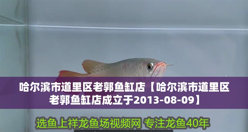 哈爾濱市<strong><mark>道里</mark></strong>區老郭魚缸店【哈爾濱市<strong><mark>道里</mark></strong>區老郭魚缸店成立于2013-08-09】