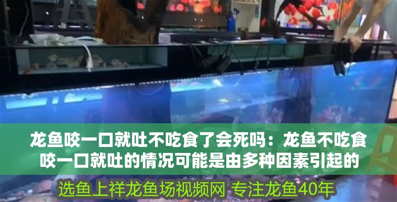 龍魚咬一口就吐不吃食了會死嗎：龍魚不吃食咬一口就吐的情況可能是由多種因素引起的