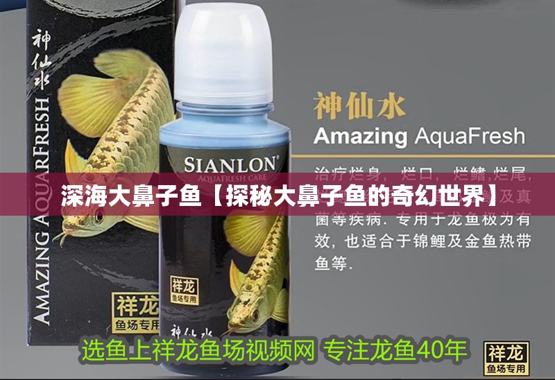 深海大鼻子魚(yú)【探秘大鼻子魚(yú)的奇幻世界】 深海大鼻子魚(yú)【探秘大鼻子魚(yú)的奇幻世界】 龍魚(yú)論壇