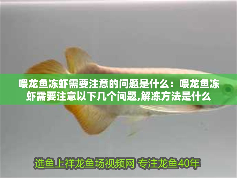 喂龍魚凍蝦需要注意的問題是什么：喂龍魚凍蝦需要注意以下幾個問題,解凍方法是什么